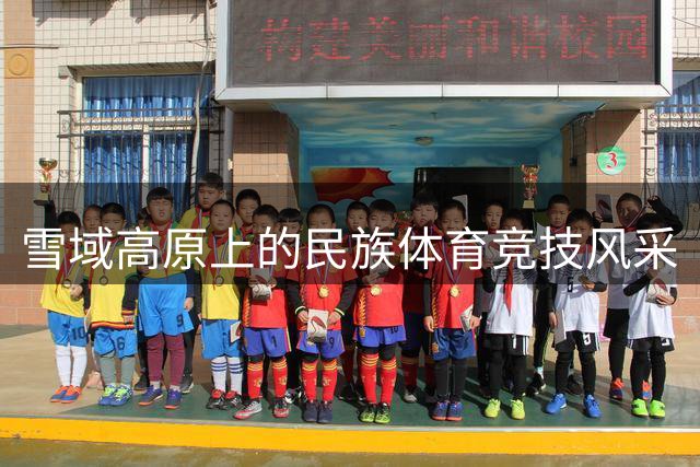 雪域高原上的民族体育竞技风采