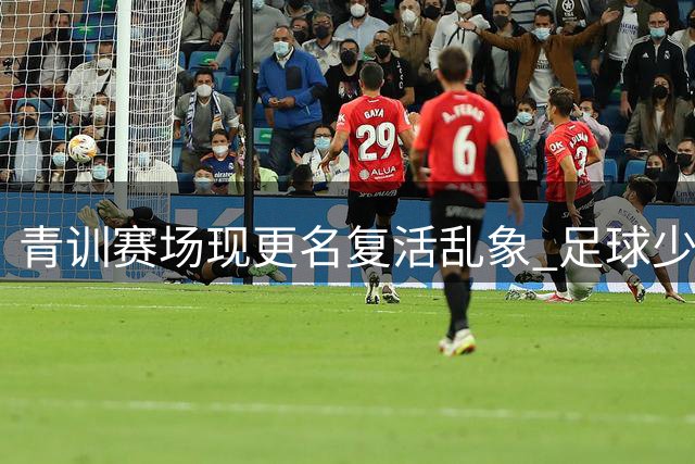 青训赛场现"更名复活"乱象 足球少年成长路该往何处？